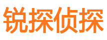 乌达市侦探调查公司